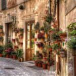 تابلو خانه پر از گلدان